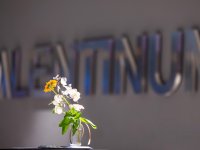 2026-02-16, Österreich, St. Valentin, Valentinsempfang der Bürgermeisterin