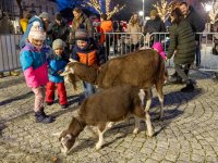 2025-12-06, Österreich, St. Valentin, Christkindlmarkt St. Valentin 2025, Foto (c) Hannes Draxler